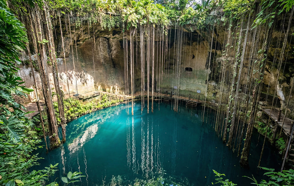 Enredaderas colgantes reflejándose en el agua del Cenote Ik Kil