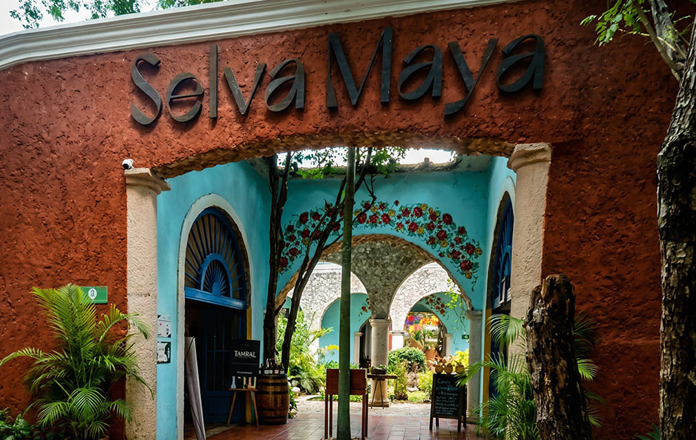 Vista panorámica de Cenote Saamal con cascada
