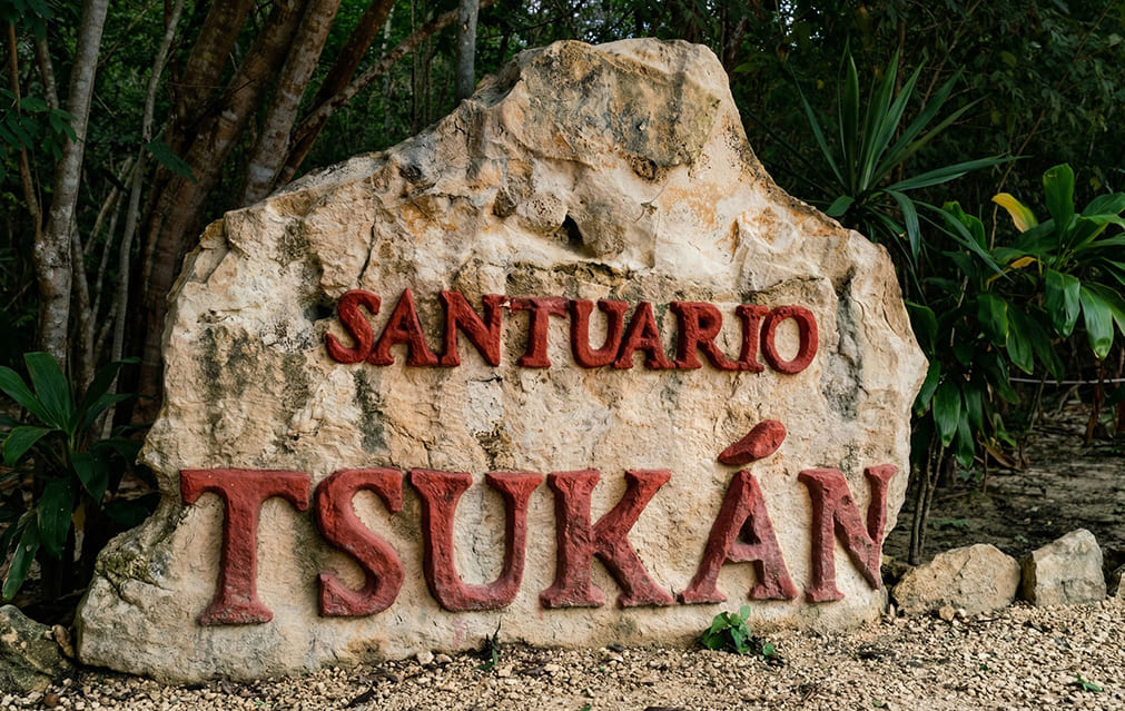 Santuario de Vida Tsukán, cenote y entorno natural