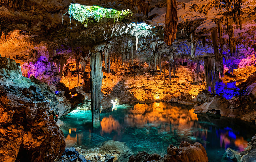 Residencial con diseño orgánico y cultural